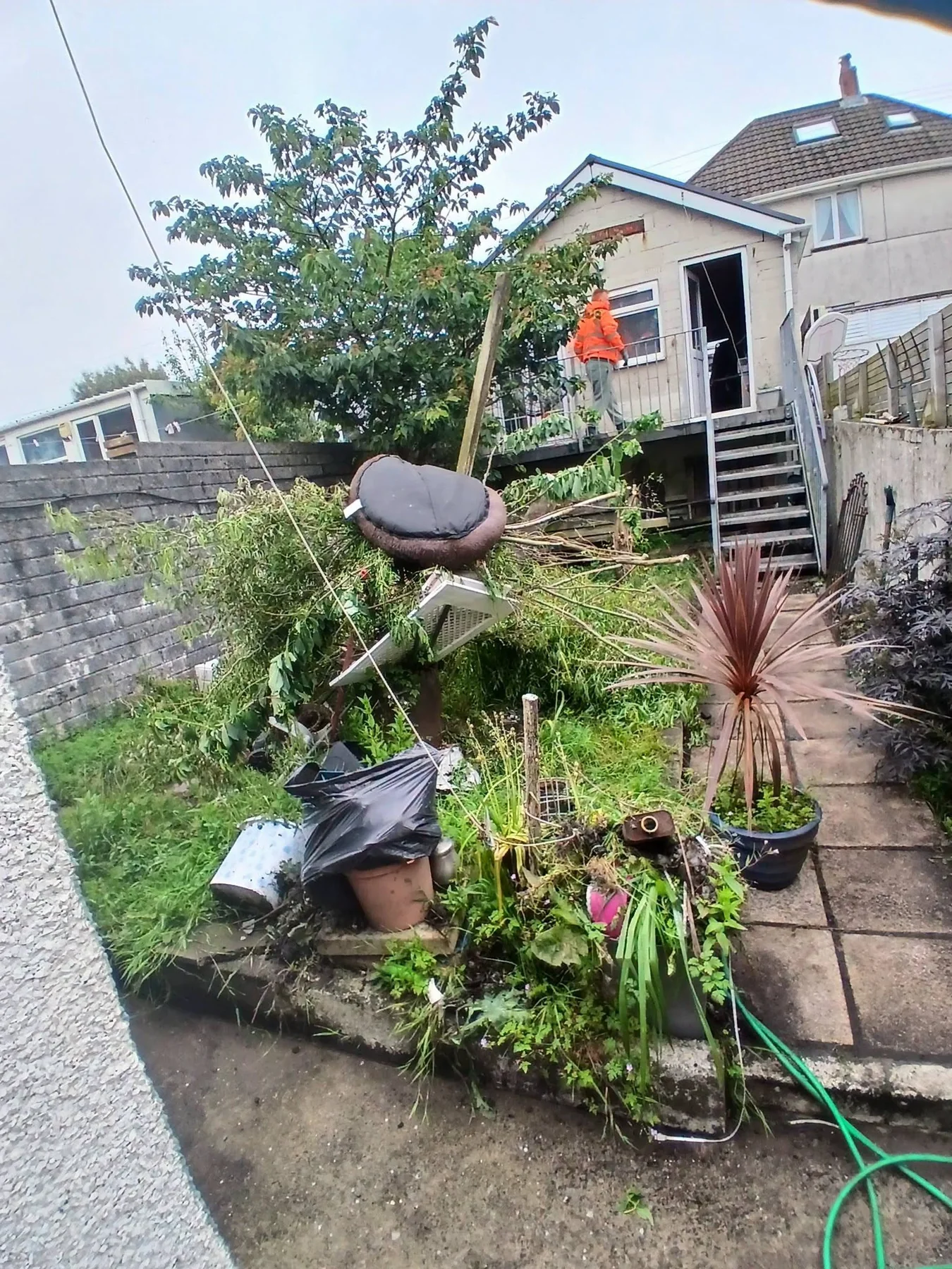 Garden before transformation